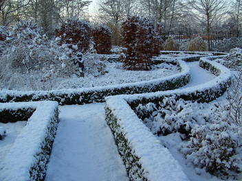 tuin_sneeuw2